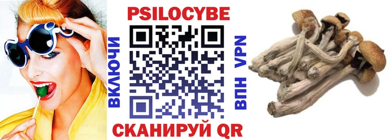 Псилоцибиновые грибы Psilocybine cubensis  дарнет шоп  hydra как зайти  Нязепетровск 