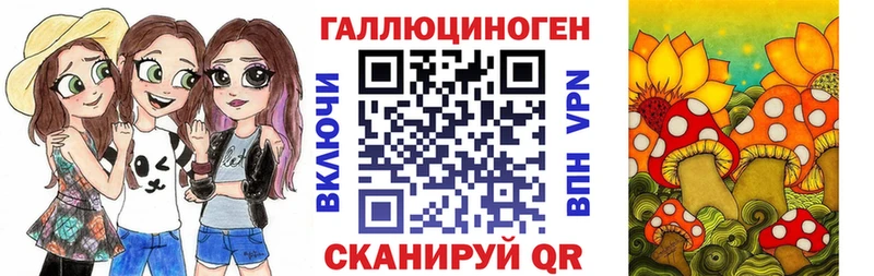 Псилоцибиновые грибы Psilocybe Нязепетровск